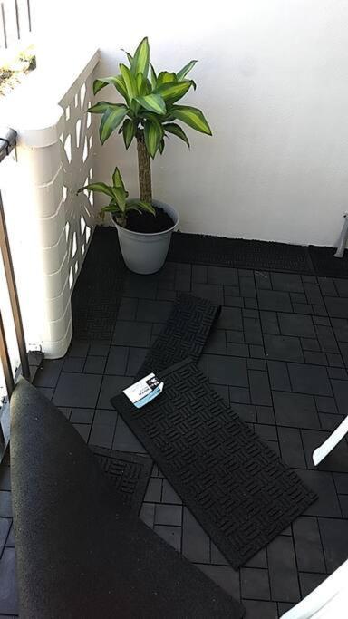 Pool Front & Across From Beach 미를 비치 외부 사진